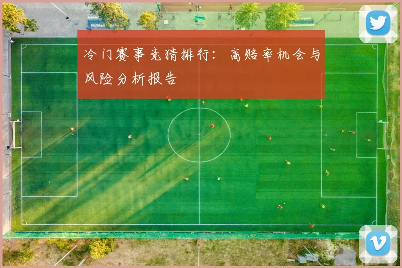 冷门赛事竞猜排行:高赔率机会与风险分析报告