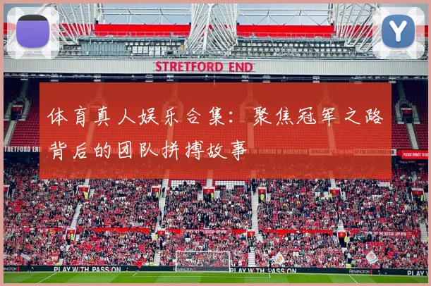 体育真人娱乐合集：聚焦冠军之路背后的团队拼搏故事