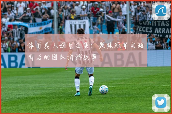 体育真人娱乐合集：聚焦冠军之路背后的团队拼搏故事