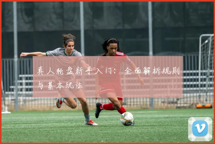真人轮盘新手入门:全面解析规则与基本玩法