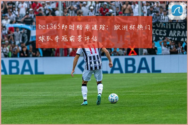 bet365即时赔率追踪：欧洲杯热门球队夺冠前景评估