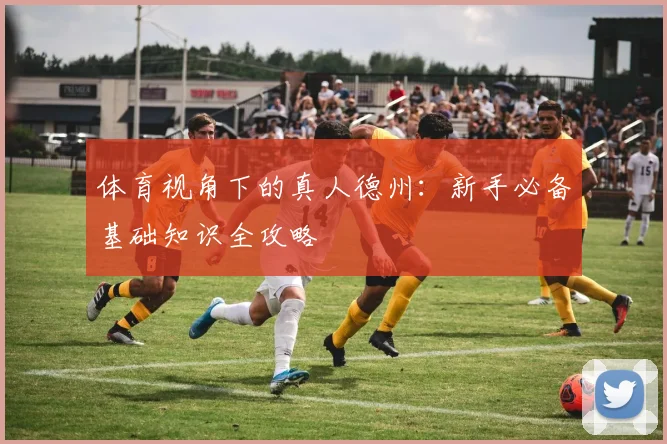 体育视角下的真人德州：新手必备基础知识全攻略