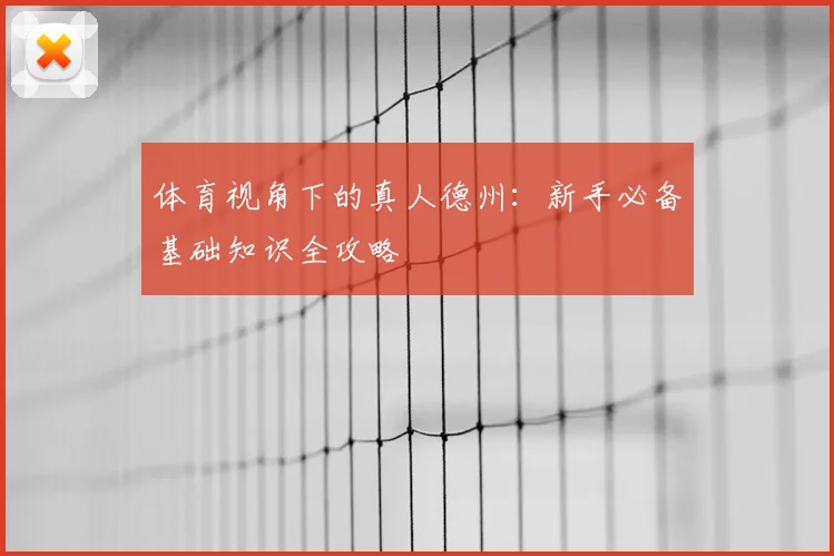 体育视角下的真人德州：新手必备基础知识全攻略